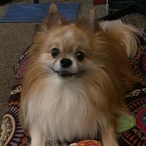 Meet your Posher, Ana maria